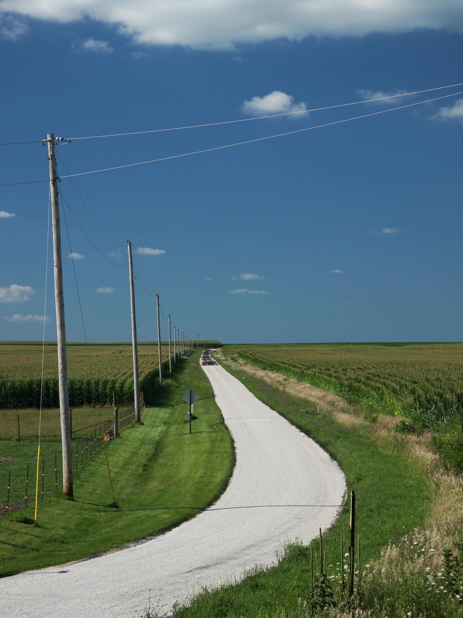 A gravel county road curving between cornfields under a big Illinois sky