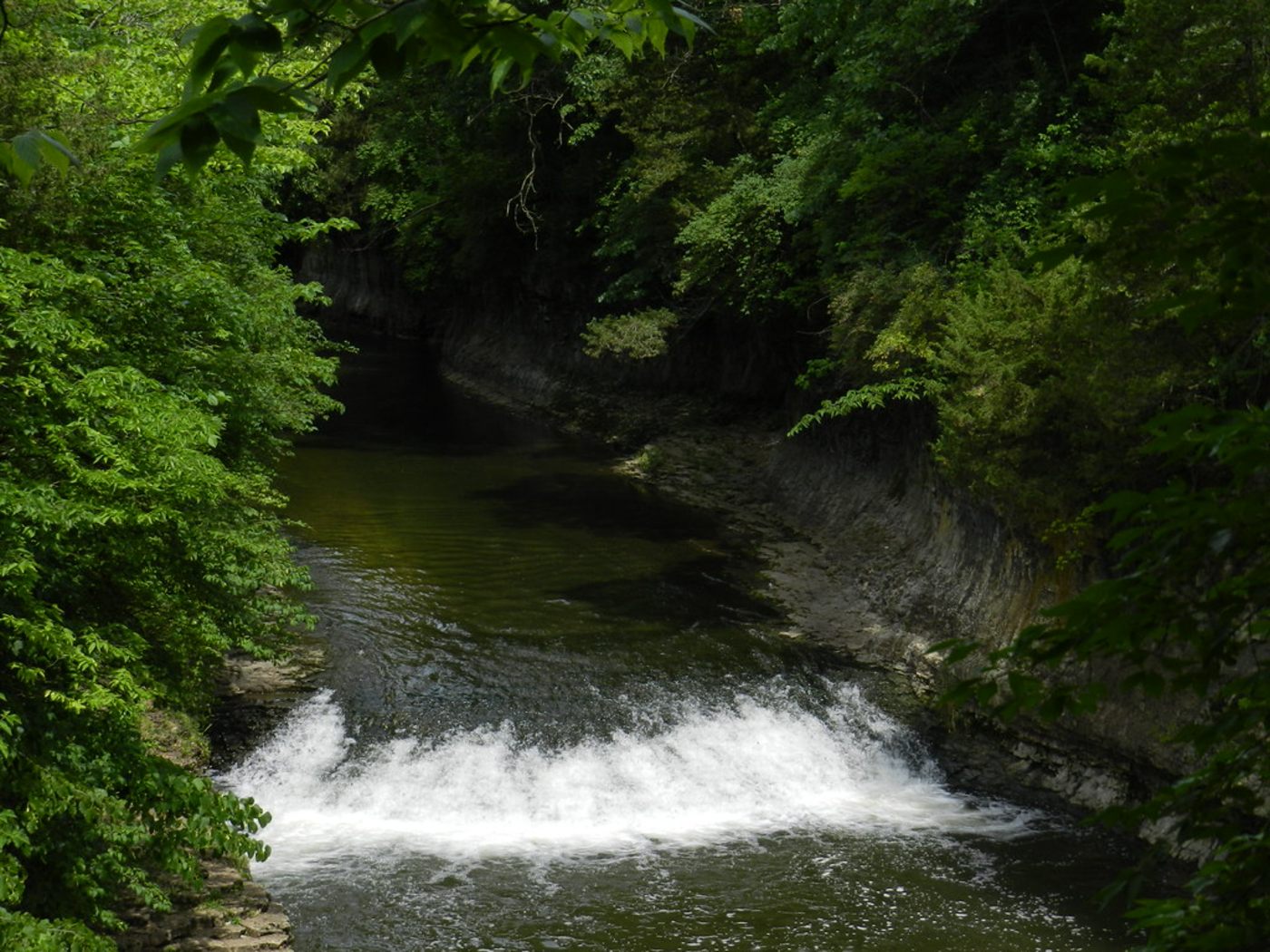 Rock Creek tumbling over a small limestone ledge between wooded canyon walls